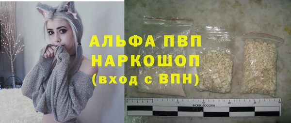 амф Верея
