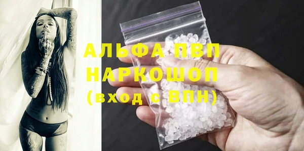 амф Верея