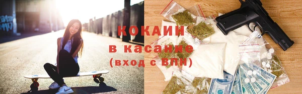 амф Верея